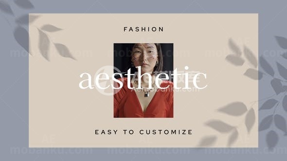 时尚时髦服装装饰宣传片AE模板