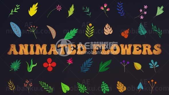 平面动画植物花朵叠加展示AE模板