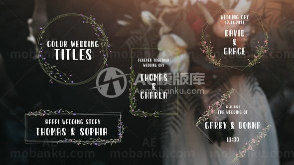 婚礼花枝包裹效果文字标题AE模板