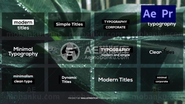 简洁现代动感文字标题展示AE模板