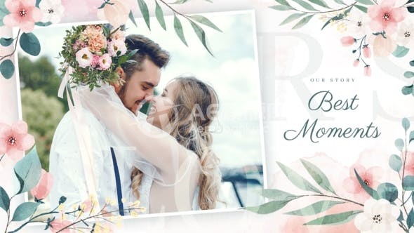 浪漫多彩花枝装饰图片幻灯片AE模板