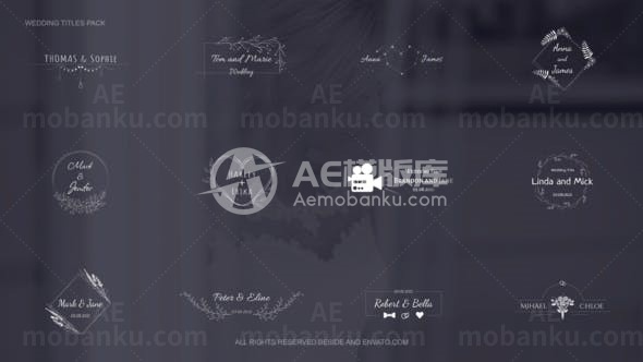 白色藤条环绕婚礼文字标题AE模板