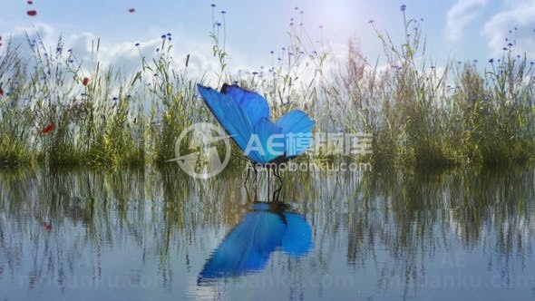 落地蝴蝶标志演绎AE模板