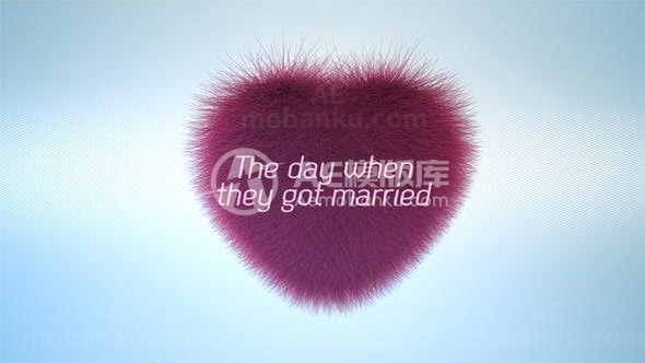 毛茸茸的边缘图片展示AE模板