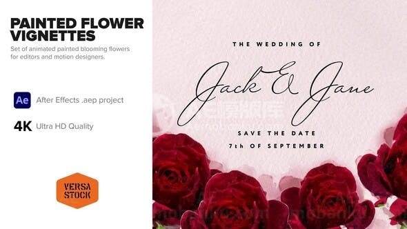 彩绘花卉装饰展示AE模板