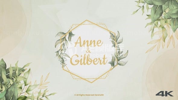 婚礼请柬动态演绎AE模板