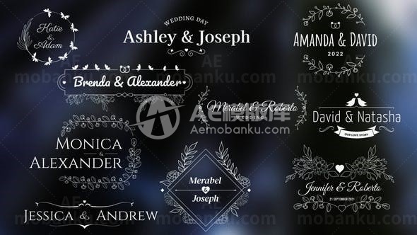 多组婚礼标题动态展示AE模板