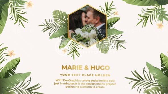 绿色装饰婚礼图片展示AE模板