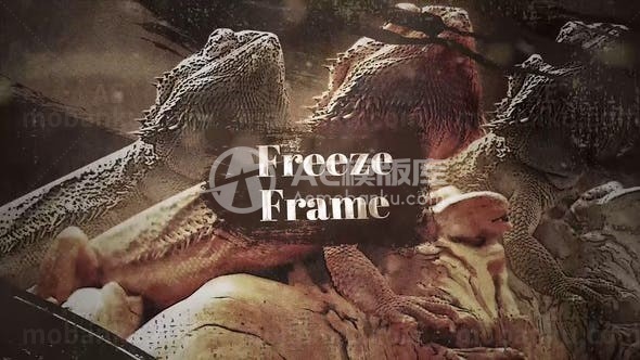 电影故障效果定格展示AE模板