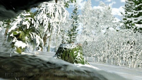 冬季森林自然标志演绎AE模板