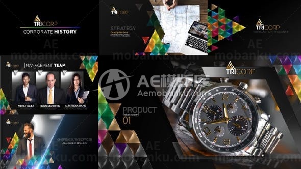 3D三角概念公司简介AE模板