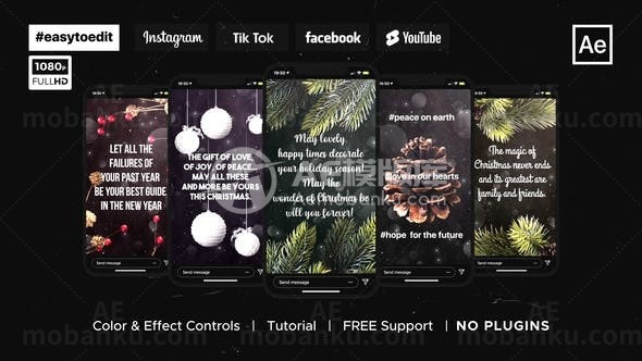 圣诞问候Instagram展示AE模板