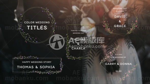 彩色婚礼标题演绎AE模板