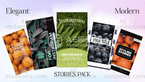 Instagram简单的故事图片视频展示AE模板