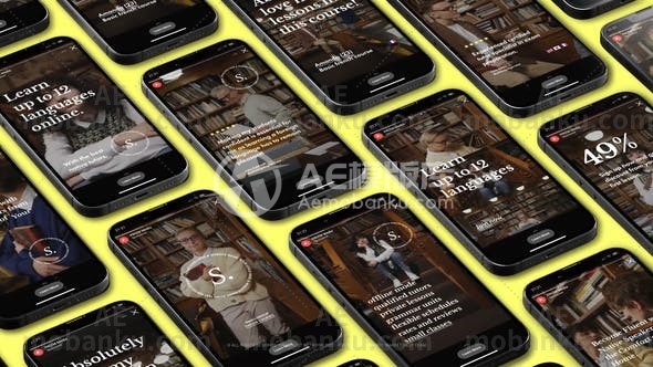 在线课程Instagram故事展示AE模板