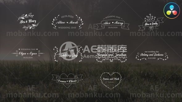 婚礼文本标题排版动态演绎AE模板