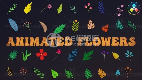 达芬奇决心的动画花