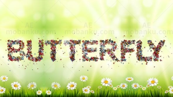 彩色蝴蝶动画字体AE模版