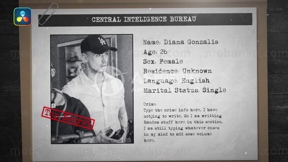 犯罪概况AE模版