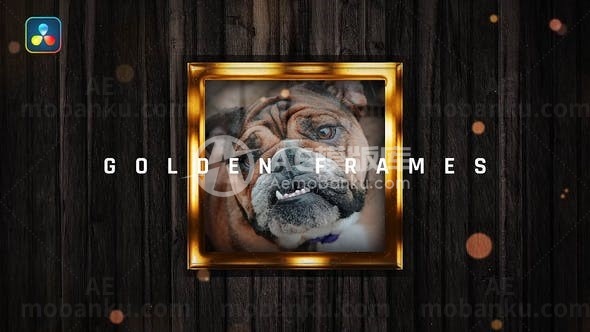 黄金记忆相册动画达芬奇模版