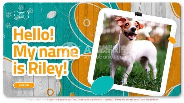 可爱的宠物动画AE模板