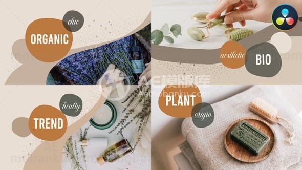 创意图文展示达芬奇模板