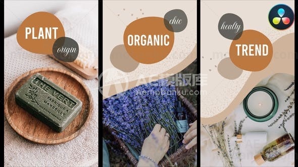 创意图文展示达芬奇模板