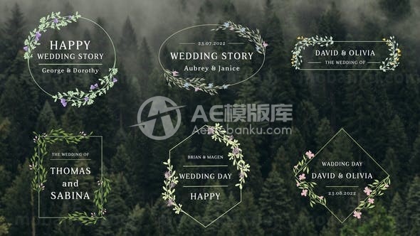 婚礼文字标题动画AE模板
