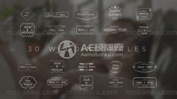 婚礼文字标题动画AE模板