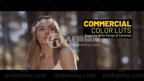 27280商业LUTs调色预设AE模板Commercial LUTs