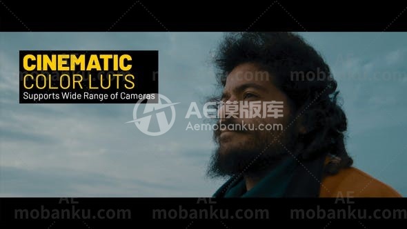 27289电影调色LUTS预设Cinematic LUTs