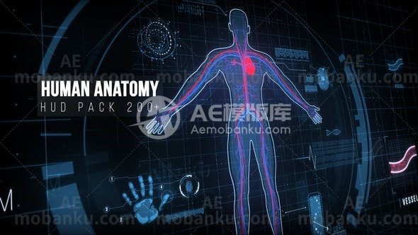 27435200+HUD高科技界面动画AE模板Human Anatomy HUD Pack 200+