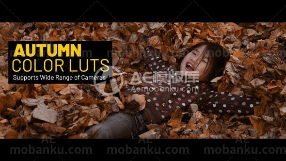 27530秋季风格调色LUTS预设Autumn LUTs