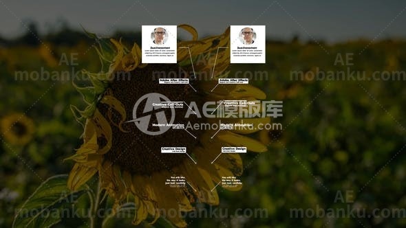 27611呼号标题动画AE模版Call Out Titles | After Effects