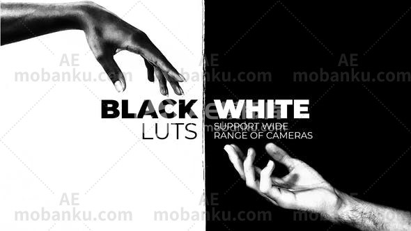 27789黑白调色LUTS预设Black and White LUTs