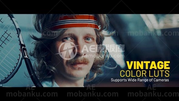 27844复古luts预设AE模版Vintage LUTs