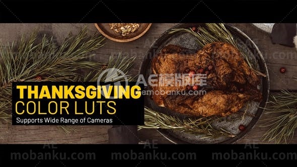 27850感恩节调色LUTS预设Thanksgiving LUTs