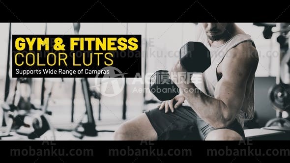 27867健身房和健身调色LUTS预设Gym and Fitness LUTs
