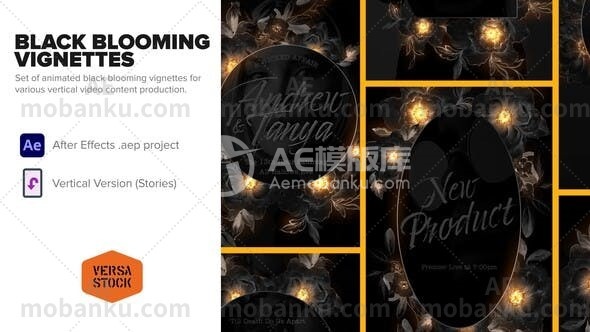 27950绽放的小插图黑色版本故事AE模版Blooming Vignette Black Edition Stories