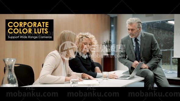 28007企业公司LUTS预设Corporate LUTs