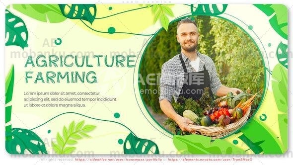 28104创意农业视频包装AE模版Agro Farming