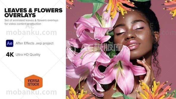 28217树叶和花朵覆盖AE模版Leaves & Flowers Overlays