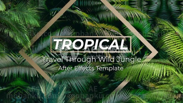 28274丛林热带视频包装AE模版Jungle Tropical Slideshow