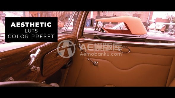 28971复古调色 LUTs AE模版