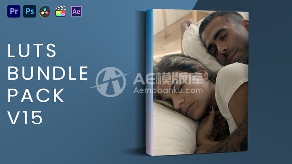 28973LUTs捆绑包 V15 AE模版