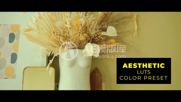 28975美学色彩调色预设 AE模板