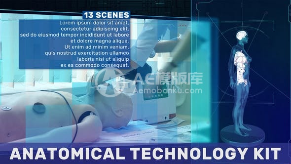 29050解剖技术包 AE模版