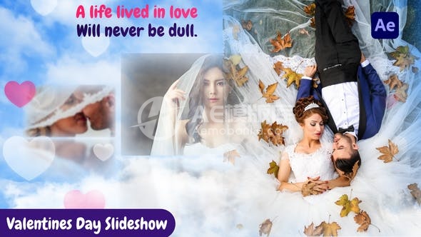 29211情人节 AE模版