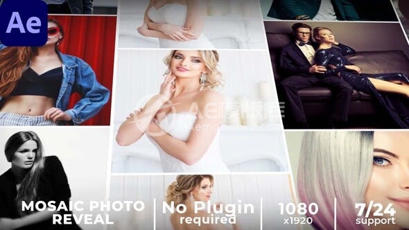 29226马赛克照片揭示 || 马赛克开场
Mosaic Intro AE模版