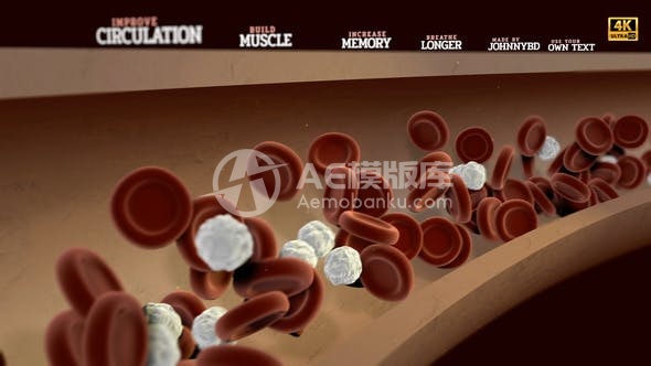 29238鲜血之躯 AE模版